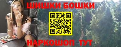 сатива Аргун