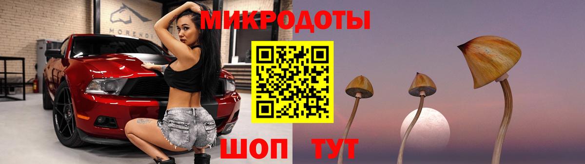Галлюциногенные грибы MAGIC MUSHROOMS  сколько стоит  Вход с VPN  Всеволожск  Псилоцибиновые грибы Psilocybine cubensis 
